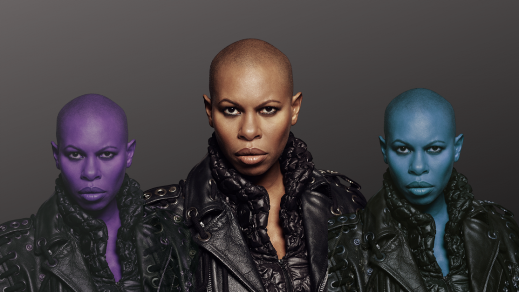 Skin of Skunk Anansie